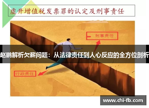 赵鹏解析欠薪问题：从法律责任到人心反应的全方位剖析