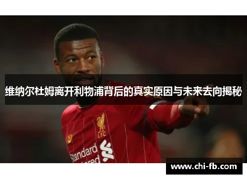 维纳尔杜姆离开利物浦背后的真实原因与未来去向揭秘 维纳尔杜姆离开利物浦背后的真实原因与未来去向揭秘