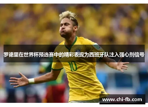 罗德里在世界杯预选赛中的精彩表现为西班牙队注入强心剂信号