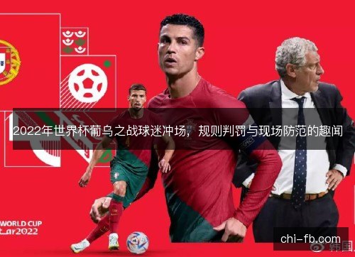 2022年世界杯葡乌之战球迷冲场，规则判罚与现场防范的趣闻